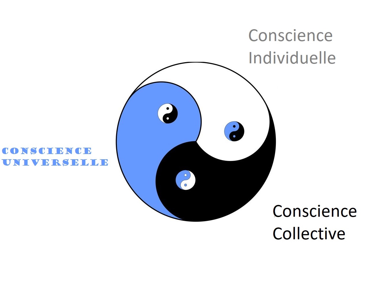 Ocnscience La Conscience et la Pensée – Qu'est ce que la Conscience